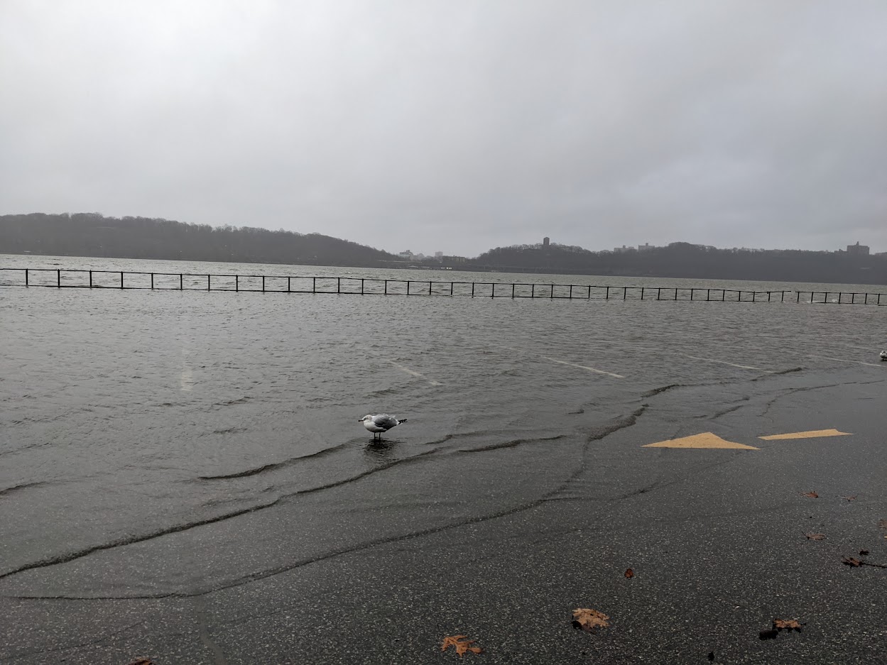 Storm tide at Englewood Picnic Area